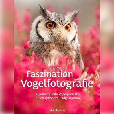 Faszination Vogelfotografie