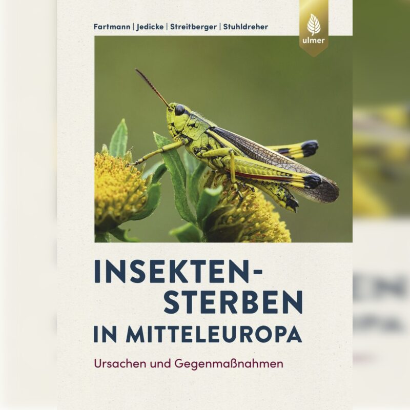 Insektensterben in Mitteleuropa