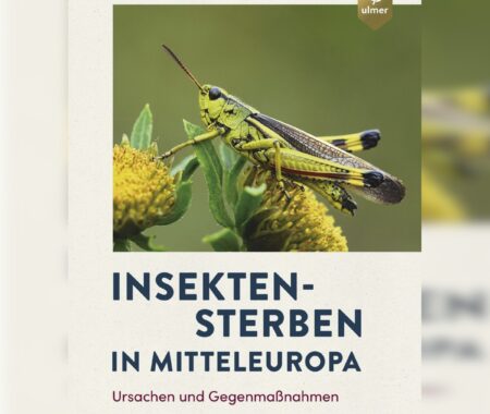 Insektensterben in Mitteleuropa