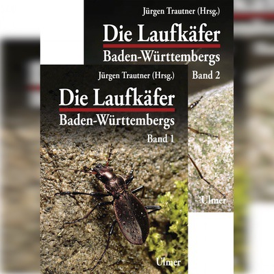 Laufkäfer Baden-Württembergs