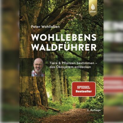 Wohllebens Waldführer