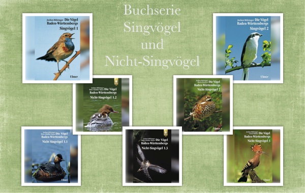 Sing & Nichtsingvögel